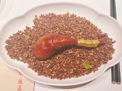 -觀芷隐轩