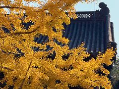 -钱王祠