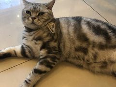 -平行世界·猫咖(首经贸店)