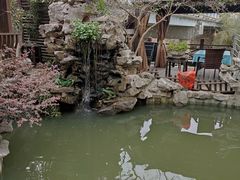 -漫渡庄绿岛花园•隐世庭园菜(滨湖店)