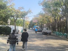 -秋霞圃