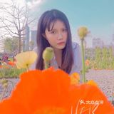 虞美人真的很美但很脆弱请好好爱护｜春季踏青干货分享