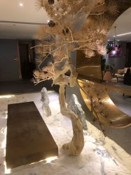 -盘子女人坊生日照·摄影馆(浦东店)