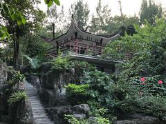 -晓港公园