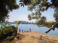 -鹤之洲湿地公园