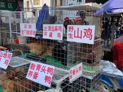 -永汉农贸综合市场