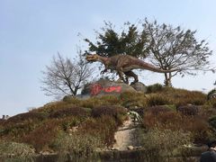 -自贡恐龙博物馆