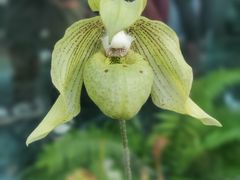 -北京植物园-展览温室