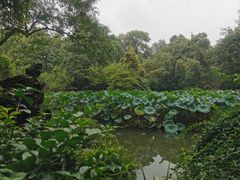 -成都杜甫草堂博物馆