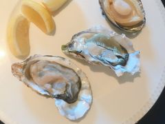 -王府半岛酒店·大堂茶座