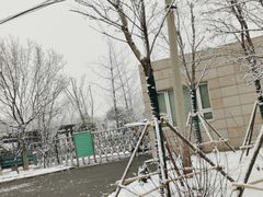 -大兴滨河森林公园