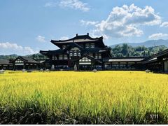 -瓦屋山景区