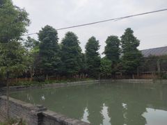 -水岸庭院·乡村柴火鸡