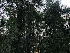 -森林公园(尖草坪区)