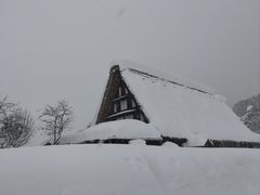 -飛騨牛食べ処 てんから