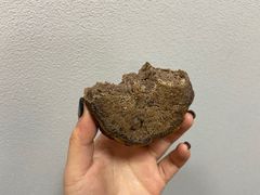 -85度C(常州九洲君玺店)