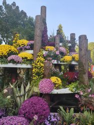 -頤霞古方美容养生