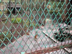 -藏龙百瀑风景区