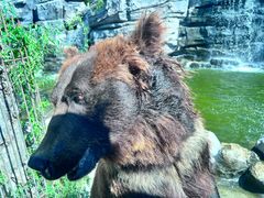 -北京野生动物园