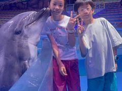 -海合安武汉极地海洋公园