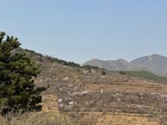 -府君山公园