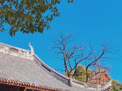 -龙华寺