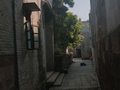 -碧江金楼