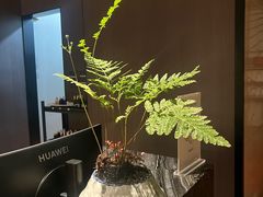-汤泉良子·沐足·颂钵疗愈·SPA(珠江新城店)