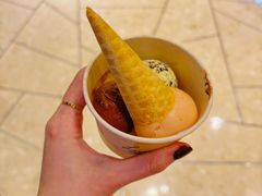 黑巧克力冰淇淋-LUNEURS月乐诗 冰淇淋咖啡(环贸店)
