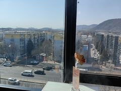 -呷哺呷哺 黄金牧场 (中发百旺店)