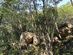 -大岭沟猕猴桃谷风景区