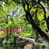 广州周末游|体验空谷幽兰～兰圃