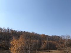 -乌兰布统草原