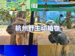 -杭州野生动物世界