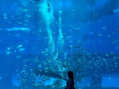 -南昌融创海世界
