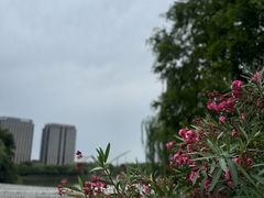 -南翔镇银翔湖公园