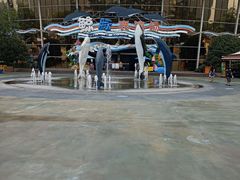-海合安成都极地海洋公园