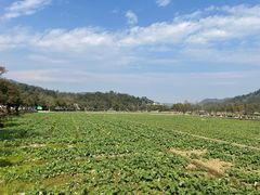 -韶山毛泽东同志故居