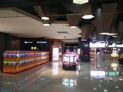 -星河寰宇IMAX影城(星河WORLD·COCO Park店)