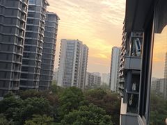 -新白鹿餐厅(银泰西湖文化广场店)