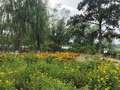 -绿堤公园