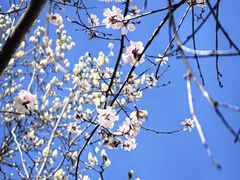 -龙湖星悦荟(颐和店)