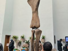 -自贡恐龙博物馆