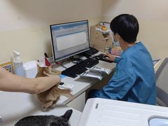-瑞派宠物医院·24小时骨科·心脏·核磁(哈尔滨南岗店)