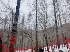 -五台山风景名胜区