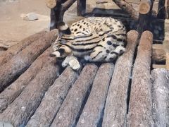 -波塞冬旅游度假区