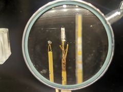 -信不信由你博物馆