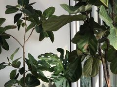 -DEEP COFFEE(瑞光烘焙工厂店)