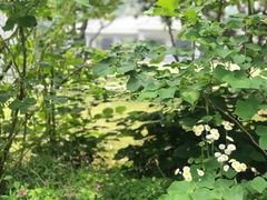 -上海虹桥迎宾馆