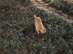 -罗汉堂·荷谷(礼智路店)